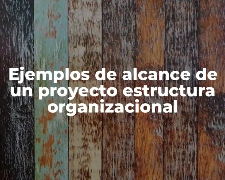 Ejemplos de alcance de un proyecto estructura organizacional