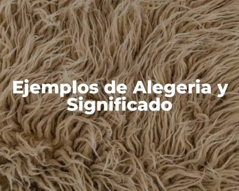 Ejemplos de Alegeria y Significado