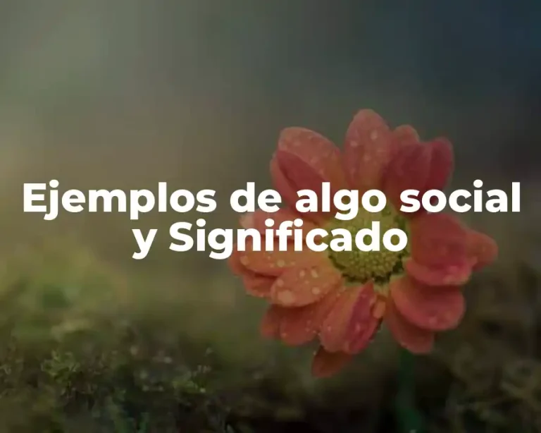 Ejemplos de algo social y Significado