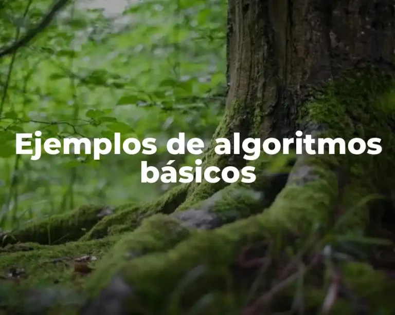 Ejemplos de algoritmos básicos