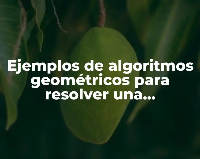 Ejemplos de algoritmos geométricos para resolver una problemática y Significado