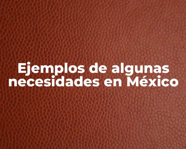 Ejemplos de algunas necesidades en México