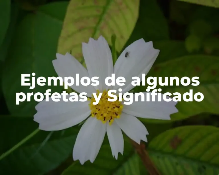 Ejemplos de algunos profetas y Significado