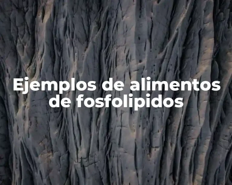 Ejemplos de alimentos de fosfolipidos