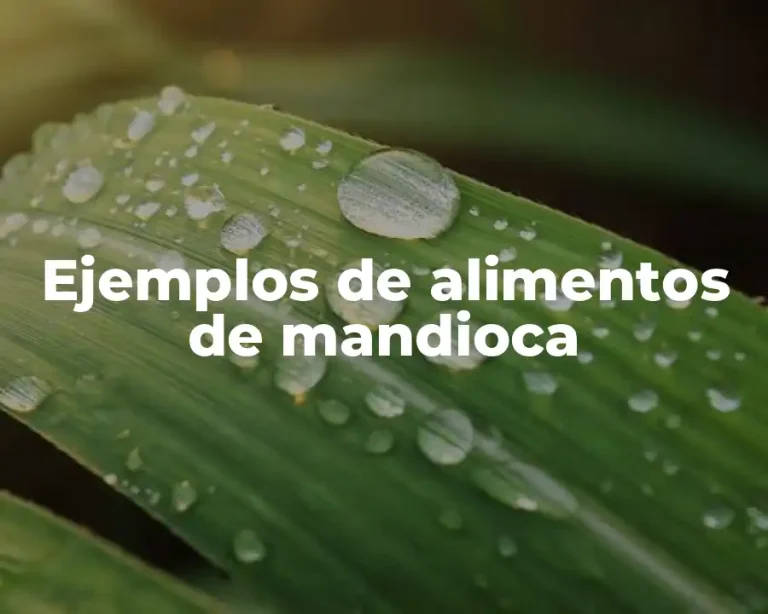 Ejemplos de alimentos de mandioca
