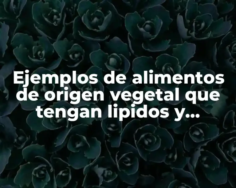 Ejemplos de alimentos de origen vegetal que tengan lipidos y Significado