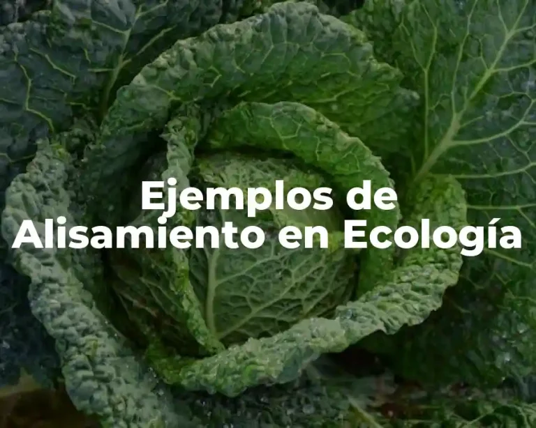 Ejemplos de Alisamiento en Ecología