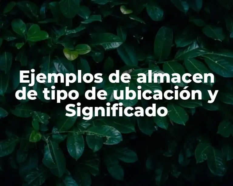Ejemplos de almacen de tipo de ubicación y Significado