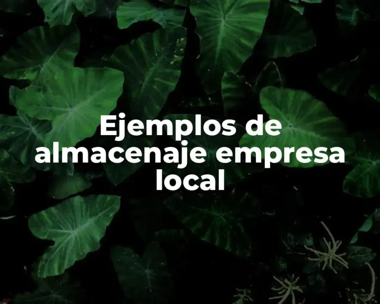 Ejemplos de almacenaje empresa local
