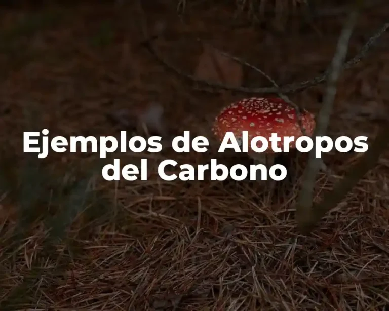 Ejemplos de Alotropos del Carbono