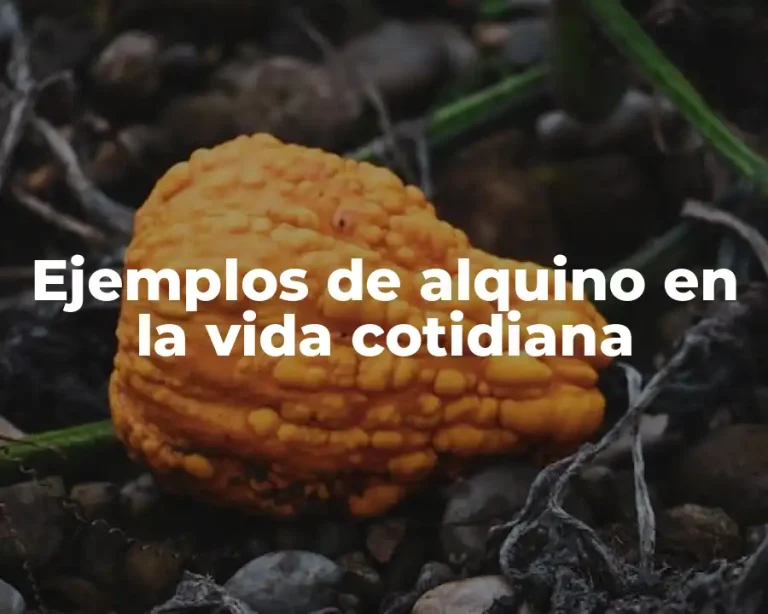 Ejemplos de alquino en la vida cotidiana
