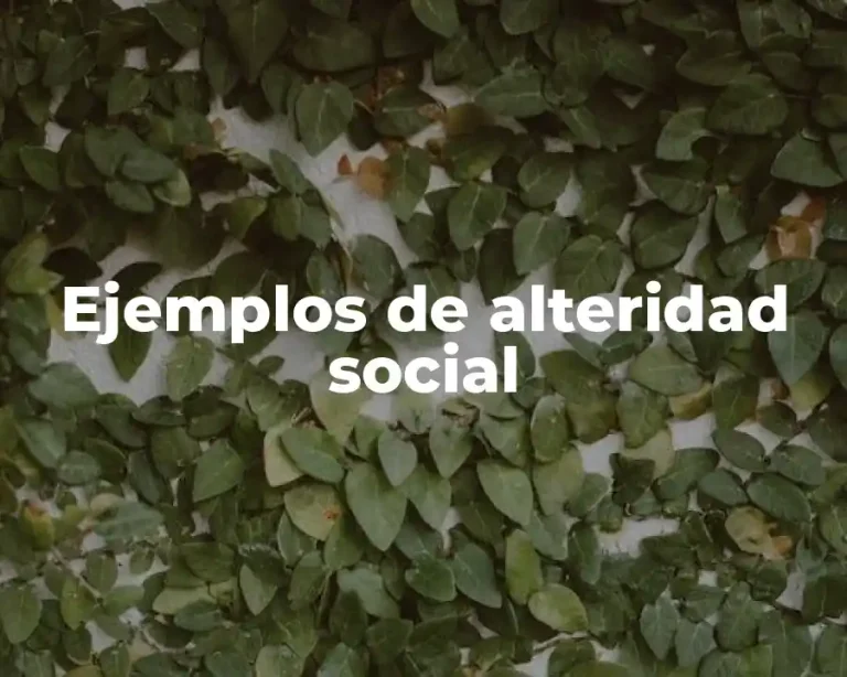 Ejemplos de alteridad social
