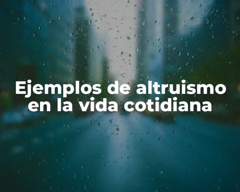 Ejemplos de altruismo en la vida cotidiana