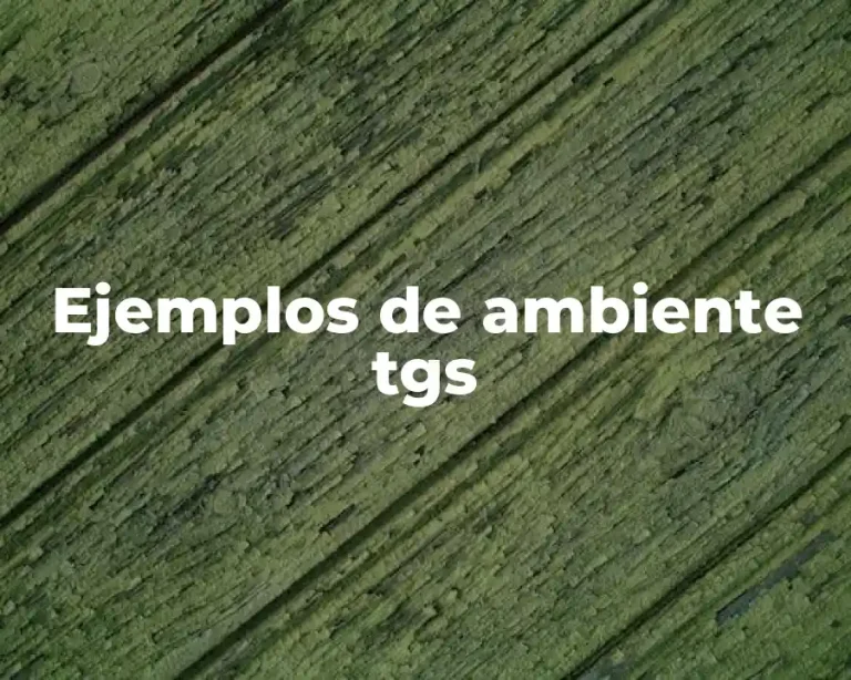 Ejemplos de ambiente tgs