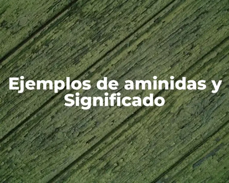 Ejemplos de aminidas y Significado