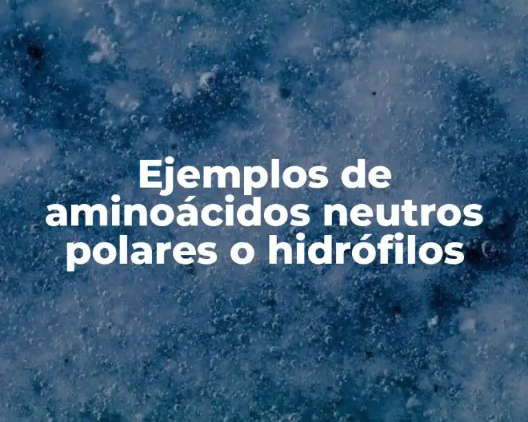 Ejemplos de aminoácidos neutros polares o hidrófilos