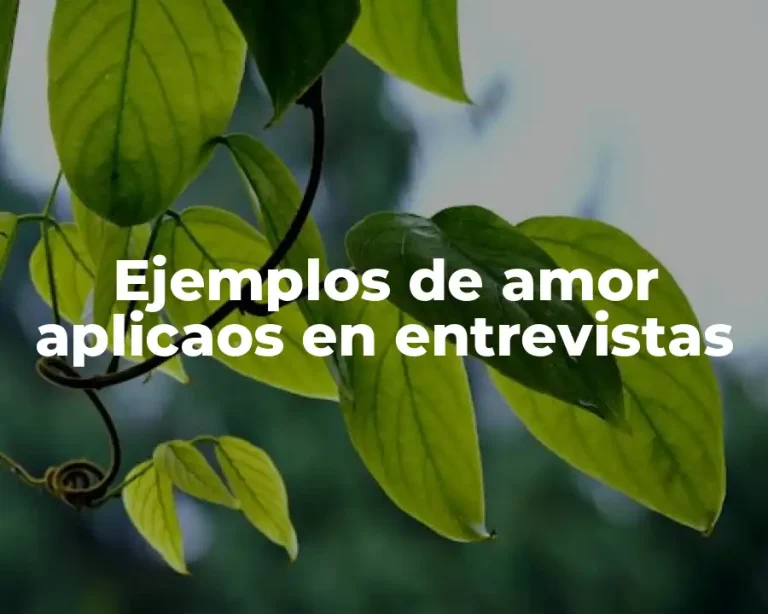 Ejemplos de amor aplicaos en entrevistas