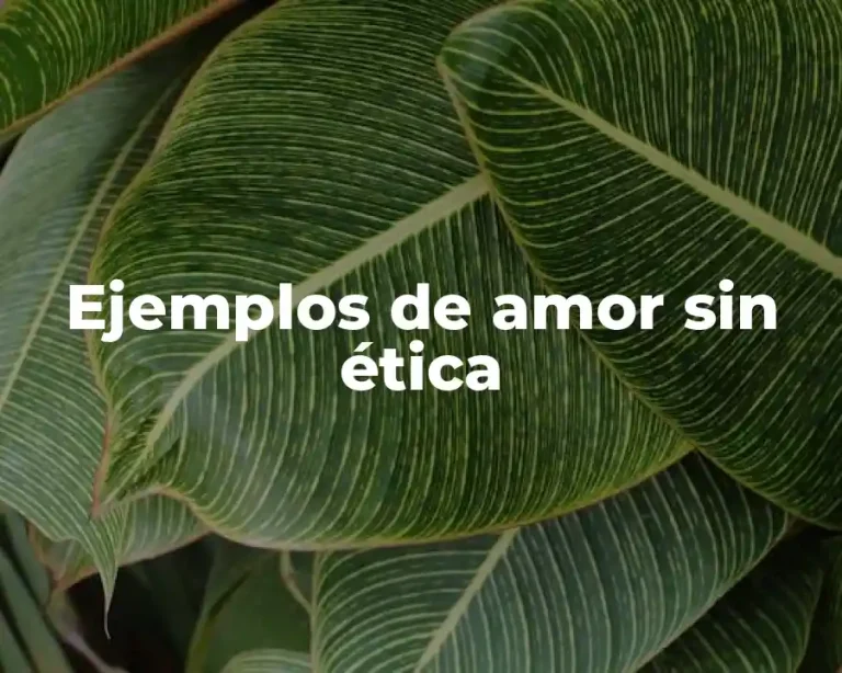 Ejemplos de amor sin ética
