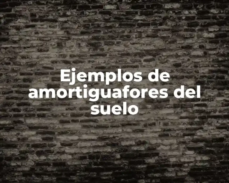 Ejemplos de amortiguafores del suelo