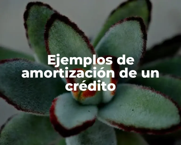 Ejemplos de amortización de un crédito