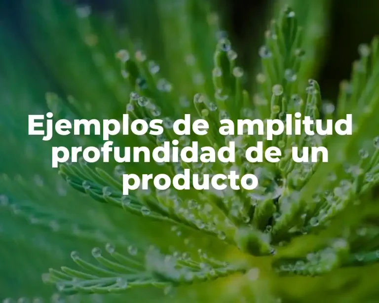 Ejemplos de amplitud profundidad de un producto