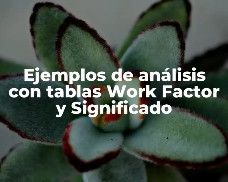 Ejemplos de análisis con tablas Work Factor y Significado