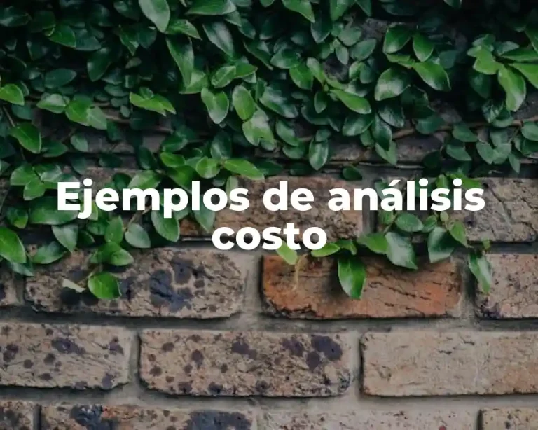Ejemplos de análisis costo