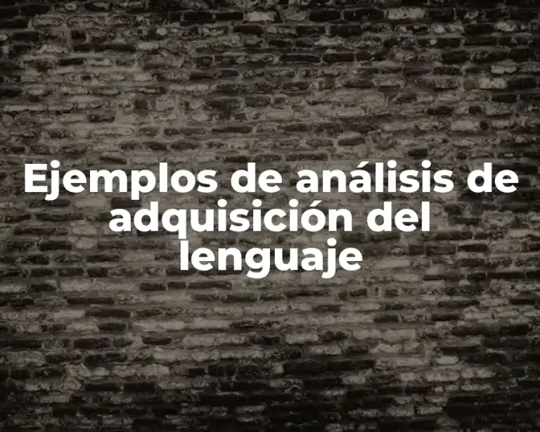 Ejemplos de análisis de adquisición del lenguaje