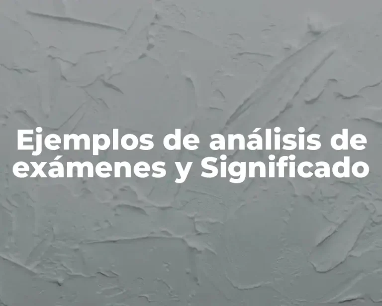 Ejemplos de análisis de exámenes y Significado