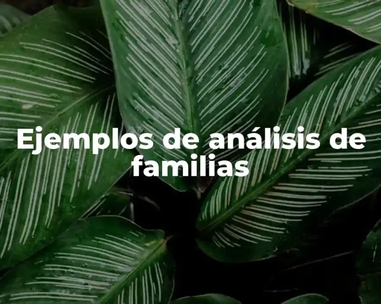 Ejemplos de análisis de familias