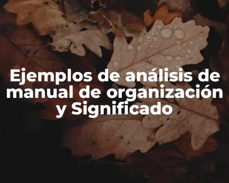 Ejemplos de análisis de manual de organización y Significado