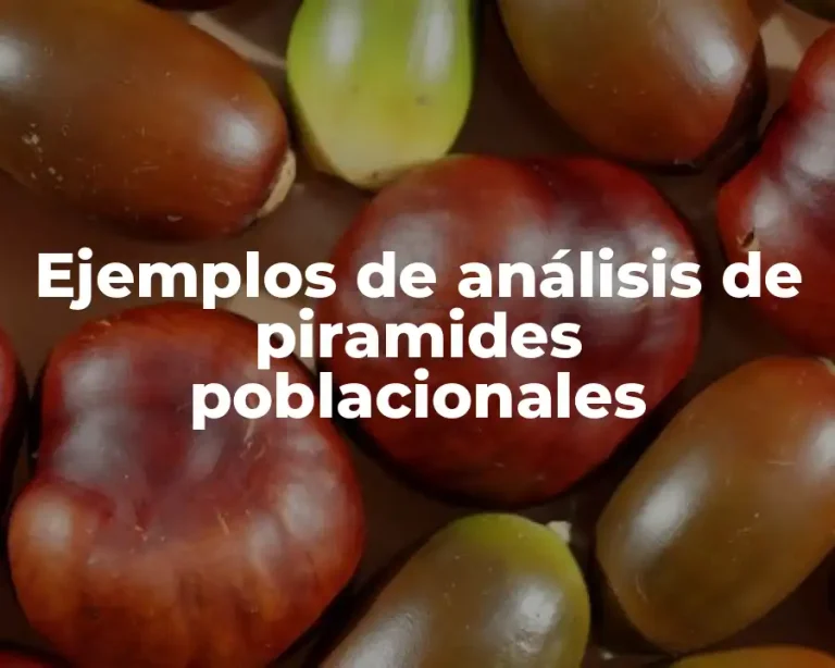 Ejemplos de análisis de piramides poblacionales