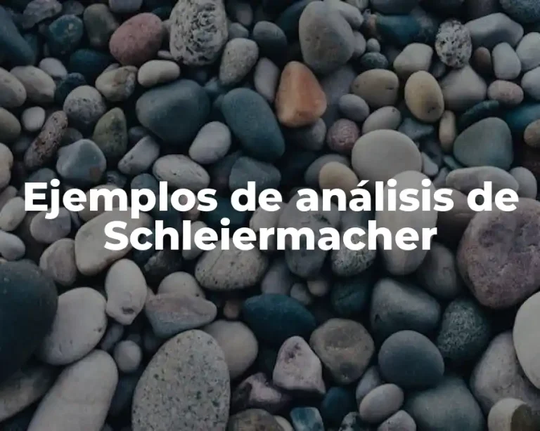 Ejemplos de análisis de Schleiermacher