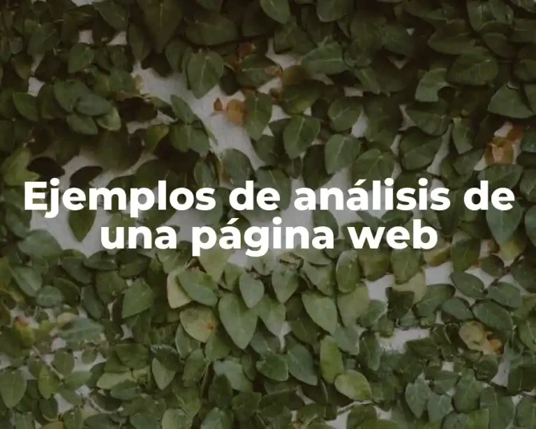 Ejemplos de análisis de una página web