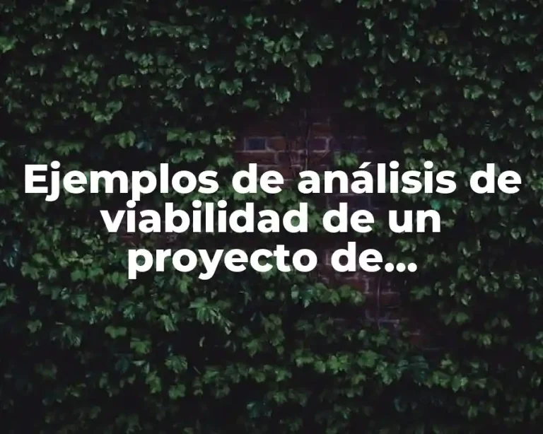 Ejemplos de análisis de viabilidad de un proyecto de investigación