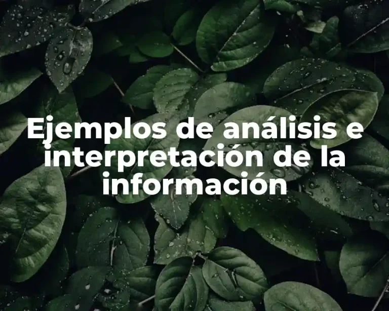 Ejemplos de análisis e interpretación de la información