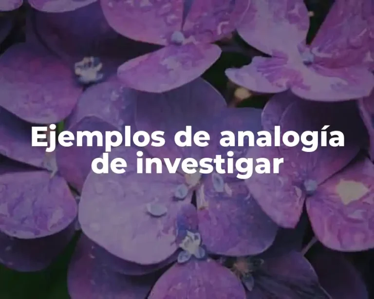 Ejemplos de analogía de investigar