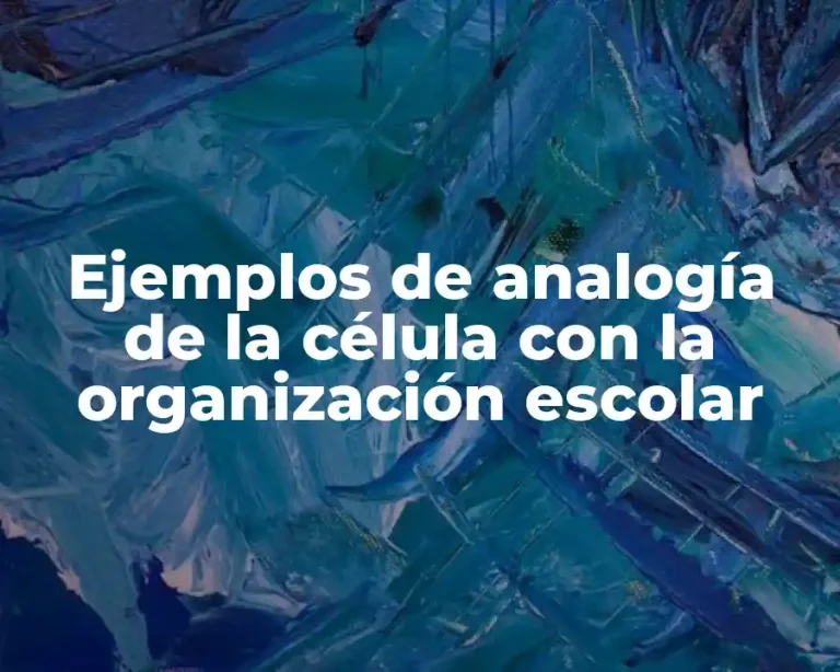 Ejemplos de analogía de la célula con la organización escolar