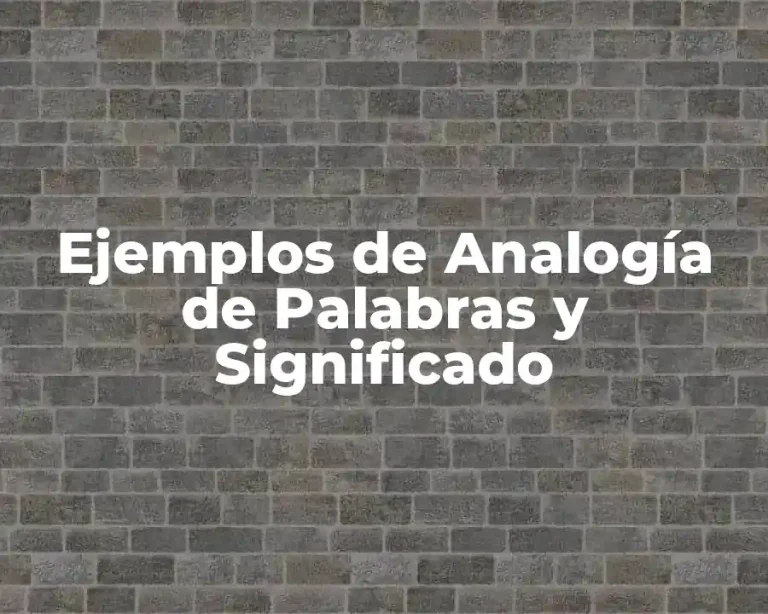 Ejemplos de Analogía de Palabras y Significado
