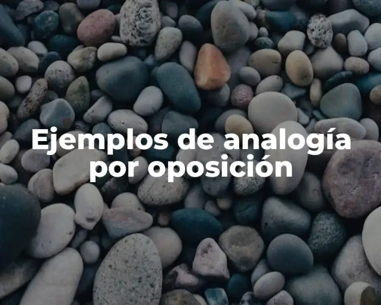 Ejemplos de analogía por oposición