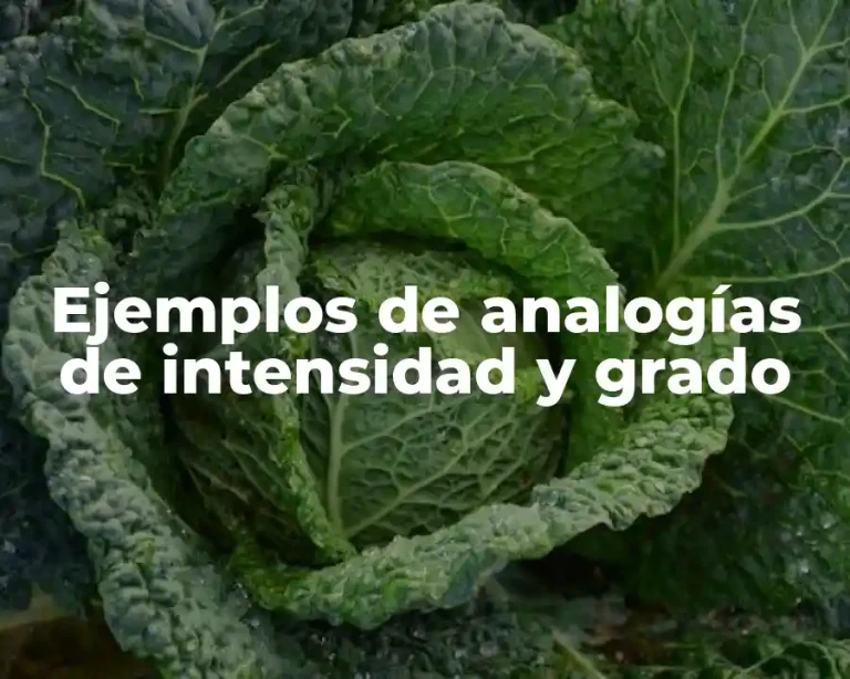 Ejemplos de analogías de intensidad y grado