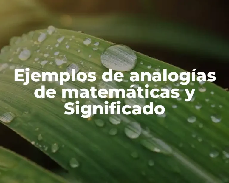 Ejemplos de analogías de matemáticas y Significado