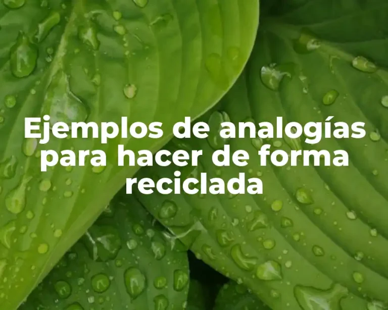 Ejemplos de analogías para hacer de forma reciclada