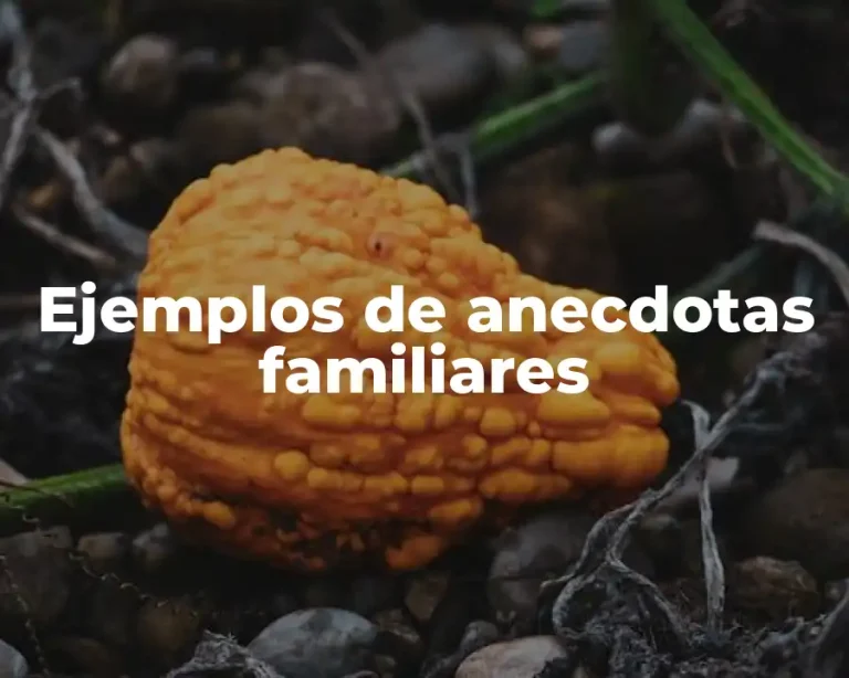 Ejemplos de anecdotas familiares