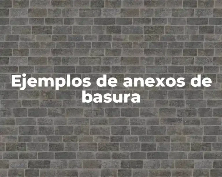 Ejemplos de anexos de basura