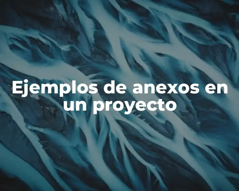 Ejemplos de anexos en un proyecto