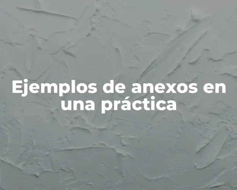 Ejemplos de anexos en una práctica