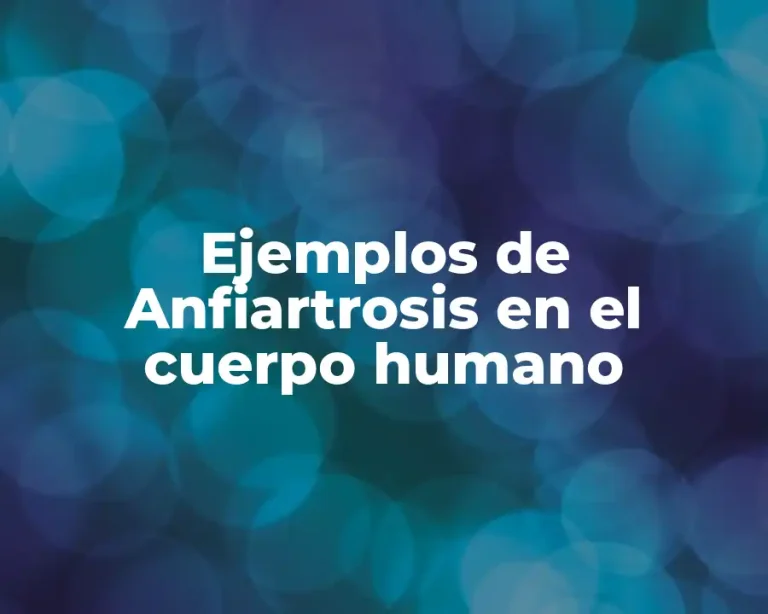Ejemplos de Anfiartrosis en el cuerpo humano