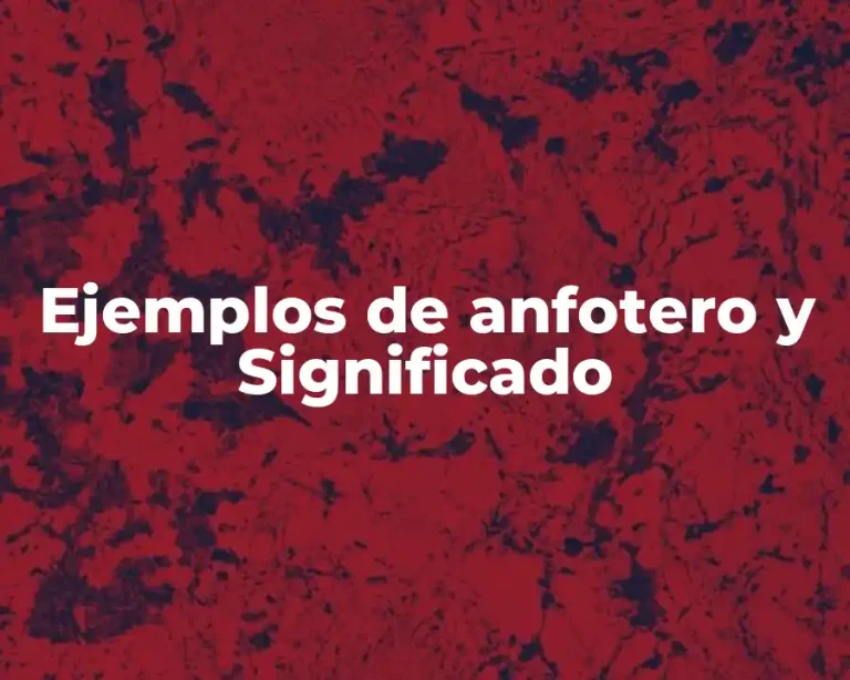 Ejemplos de anfotero y Significado