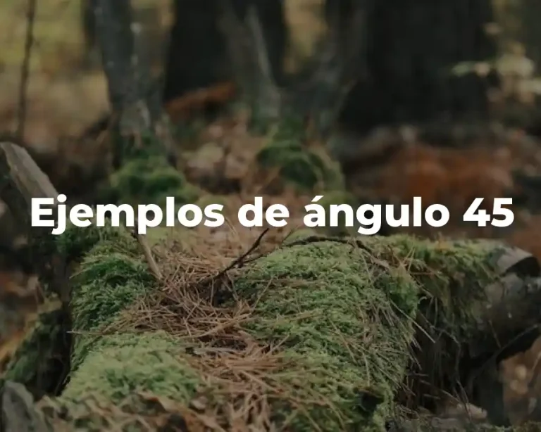 Ejemplos de ángulo 45